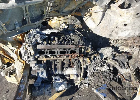 2025 Kia Sorento S from USA, damaged, VIN 5XYRL4JC7SG367604